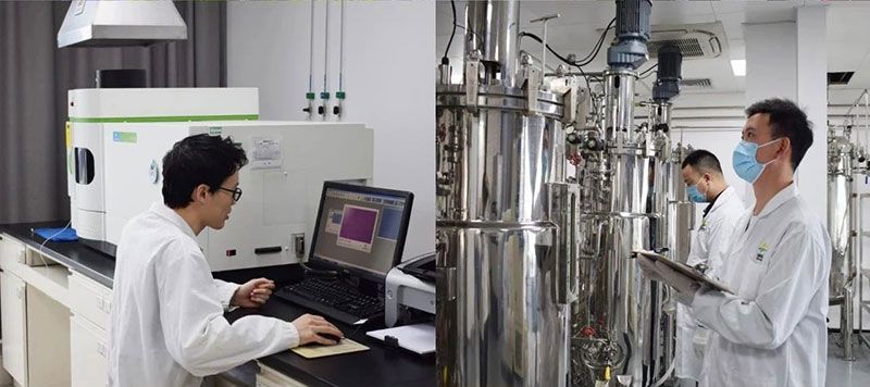 打造新朝陽(yáng)生物科技“五張名片”，服務(wù)農(nóng)業(yè)高質(zhì)量發(fā)展！