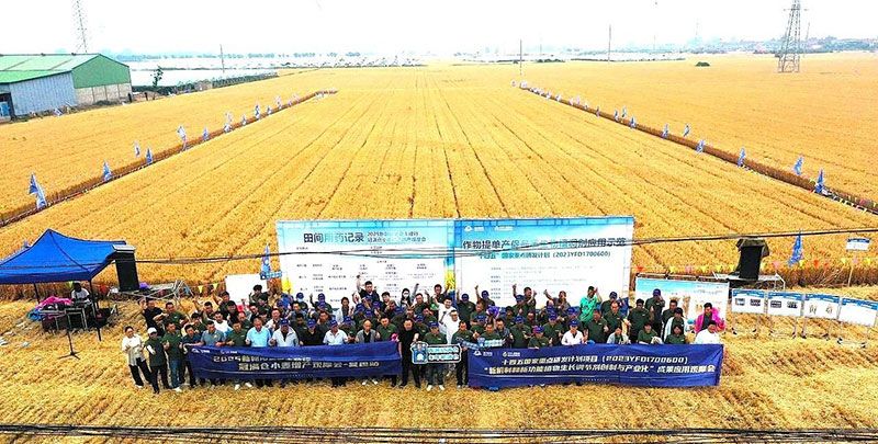生物技術(shù)助力糧食單產(chǎn)顯著提升-“十四五”國(guó)家重點(diǎn)研發(fā)計(jì)劃成果應(yīng)用觀摩會(huì)圓滿落幕