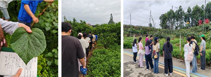 首個(gè)！中國(guó)農(nóng)業(yè)大學(xué)攜手新朝陽(yáng)啟動(dòng)“朝陽(yáng)稼穡計(jì)劃”