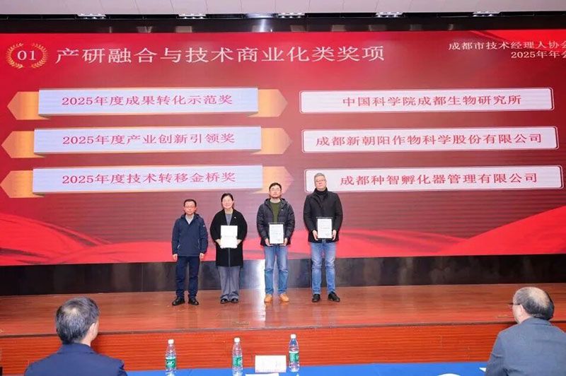 新朝陽榮獲成都市技術經理人協(xié)會“2025年度產業(yè)創(chuàng)新引領獎”