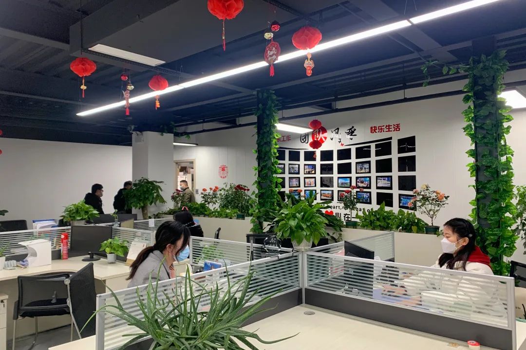 新年新氣象下的普菲德！